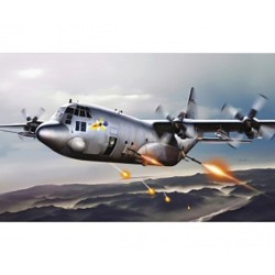 1310 - Ac-130H 'Spectre'                 C
