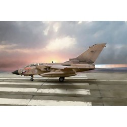 1384 - Tornado GR.1 Gulf War 25th Anniversary    C