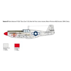 1423 - P - 51 B Mustang