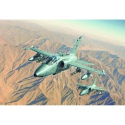 1460 - AMX Single Seat