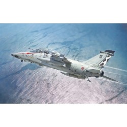 1471 - AMX-T Twin Seater