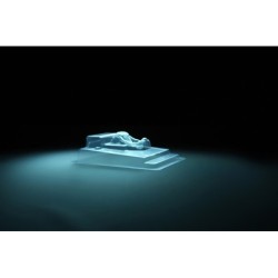 1825729 - Body/Cockpit Wild One 58695