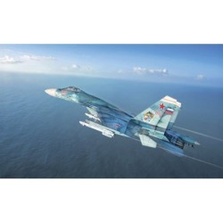 197 - Su-33 Sea Flanker–D