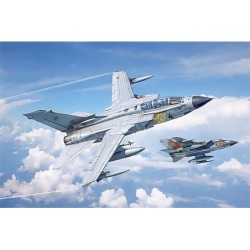 2520 - Tornado IDS - 40th Anniversary