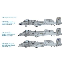 2725 - A-10C Blacksnakes