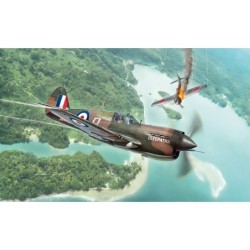 2795 - 1/48 RAF P-40E/K...