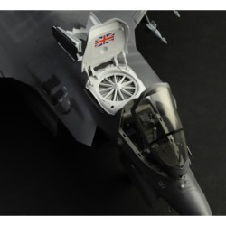 2810 - RAF F-35B Stovl Version