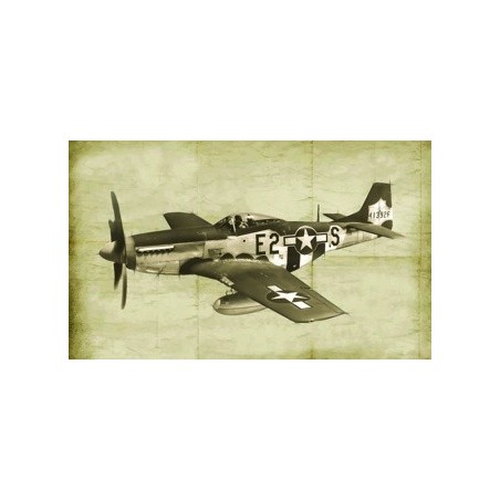 2831 - P-51D/K ETO Aces