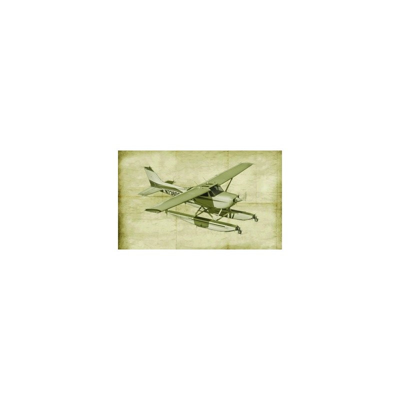 2832 - Cessna 172 Floatplane