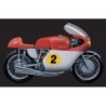 4630 - 1/9Mv Augusta 500Cc  1964