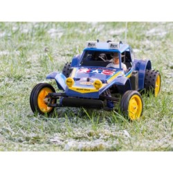 58470 - Holiday Buggy (2010) Dt-02