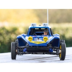 58470 - Holiday Buggy (2010) Dt-02