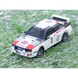 58667 - Audi Quattro Rally A2 (TT-02)