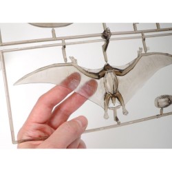 60204 - Pteranodon 1/35