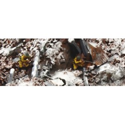 6193 - WWII Stalingrad Battle            C