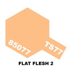 85077 - TS-77 Flat Flesh 2