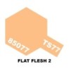 85077 - TS-77 Flat Flesh 2
