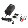 ACS110 - 800 Ma Fast Charger