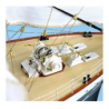 AL22519 - 1/75 Belem Sailing Ship