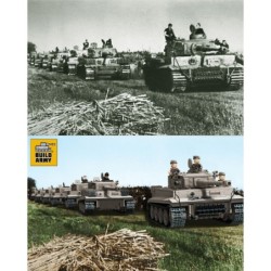 B0181 - Tiger 1 Grey