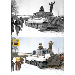 B0182 - King Tiger (Tiger...