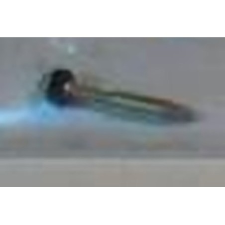 BA20129 - Plunger With O-Ring