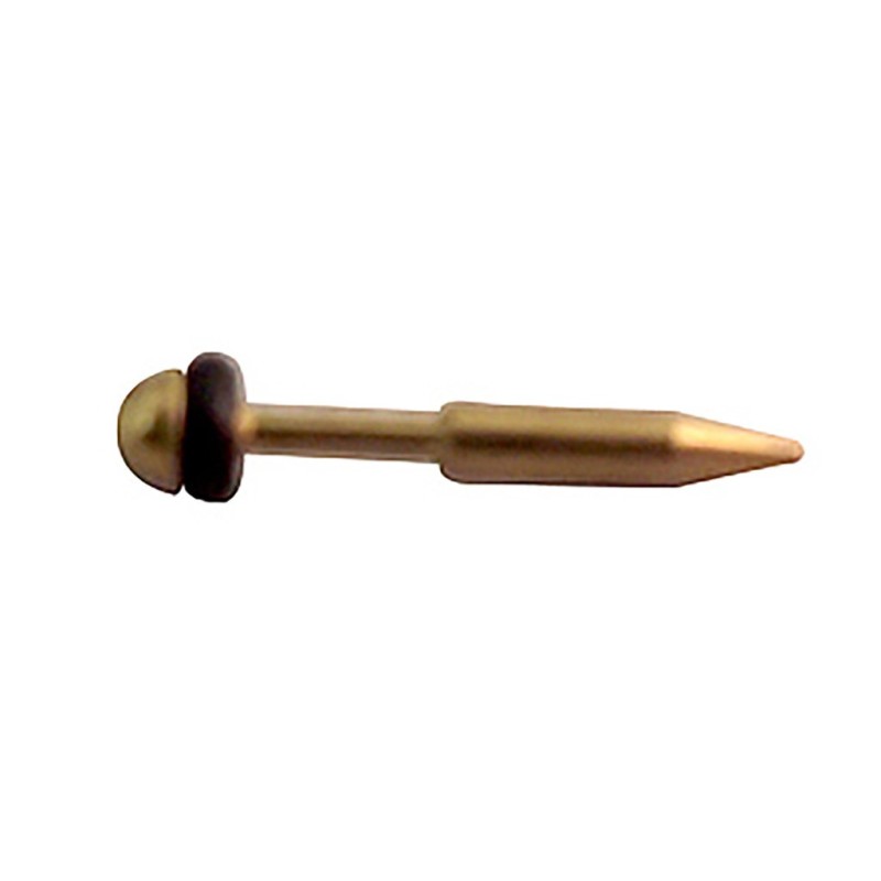 BA50014 - Plunger & O-Ring Model 100.150.155