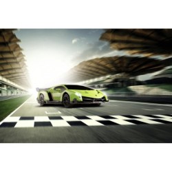 C404308 - 1:24 Lamborghini Veneno 2.4GHz 100% RTR Green