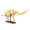 C59012W - Dinosaur Fossils: Stegosaurus - 297 pcs