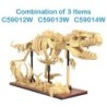 C59013W - Dinosaur Fossils: Triceratops - 272 pcs