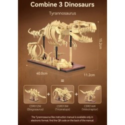 C59013W - Dinosaur Fossils: Triceratops - 272 pcs