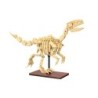 C59014W - Dinosaur Fossils: Velociraptor - 256 pcs