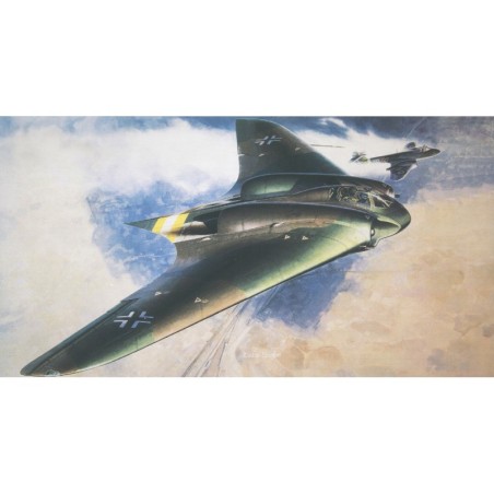 D5505 - Ho229A-1 Flying Wing