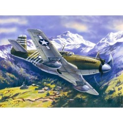 ICM48161 - Mustang P-51A,...