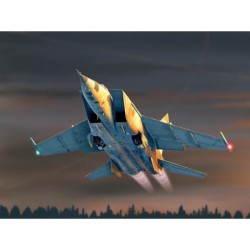 ICM48901 - MiG-25 RBT,...