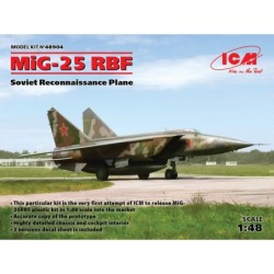 ICM48904 - MiG-25 RBF, Soviet Reconnaissance Plane