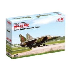 ICM48904 - MiG-25 RBF, Soviet Reconnaissance Plane