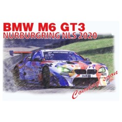 NU24042 - BMW M6 Gt3 2020 Nls Winner