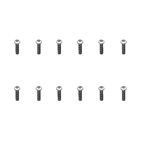 PD501-058 - B head hex screw HM4*20   12pcs