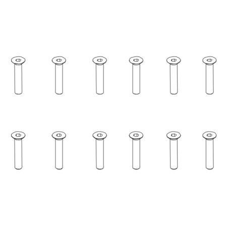PD502-031 - Flat Head Hex ScrewHM3*16 12PCS