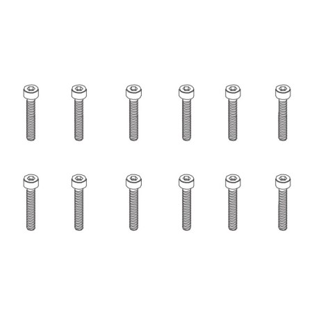 PD861-086 - Hex Screw HM2.5*10   12PCS