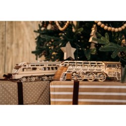 WDTK029 - Atlantic express