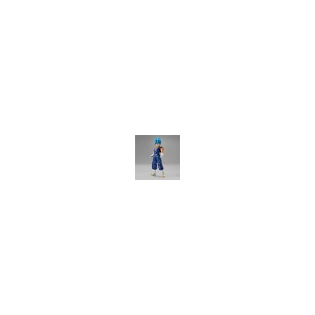 MK55591 - Figure-Rise Standard Super Saiyan God Super Saiyan Vegetto