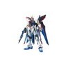 MK61606 - MG 1/100 Strike Freedom Gundam