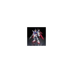 MK61616 - RG 1/144 Destiny...