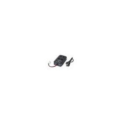 C606101 - Easy Charger NiMH...
