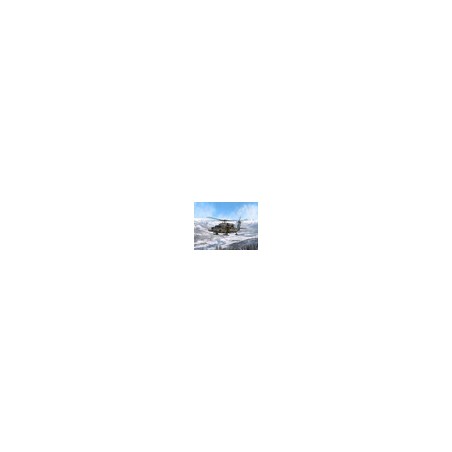 ICM48368 - UH-60A Black Hawk with ESSS & Skis
