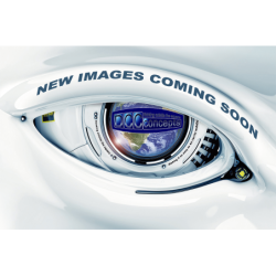 KMS-AED-SAC.1 - AE Model KMS 2-Wire Stay Alive with Connector