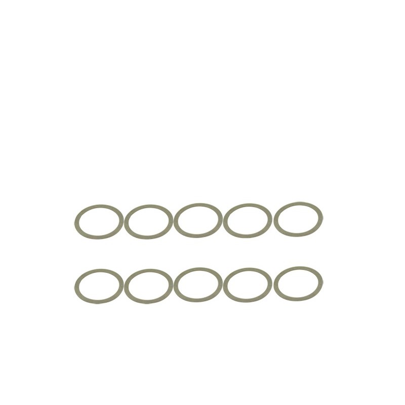 AM13SS0017 - SHIMS 13X16X0.2 (10)
