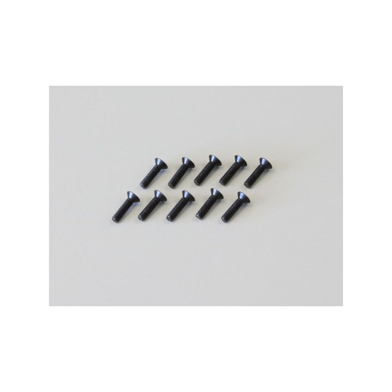 K.1-S33012H - Hex Flat Head Screws 3x12mm (10)